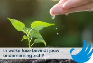 In welke fase bevindt jouw onderneming zich