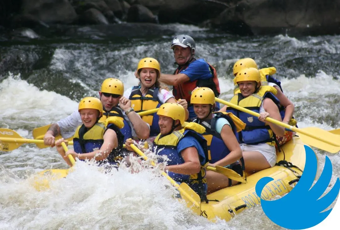 Hoe krijg ik mijn team zelfstandiger en verantwoordelijker?