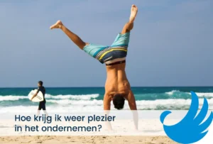 plezier in ondernemen