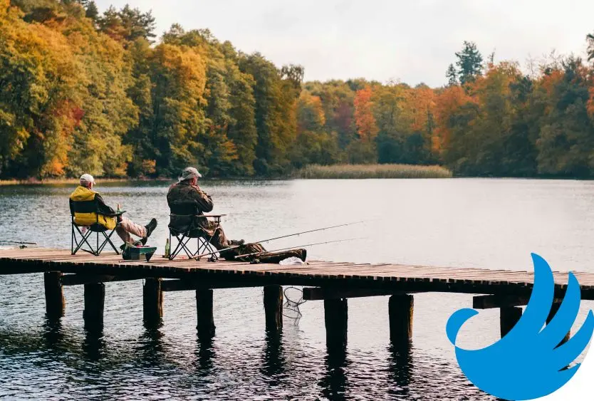 hoe kan ik mijn bedrijf laten groeien